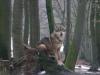 2011040811285602_k-Zoo & Co 007.JPG